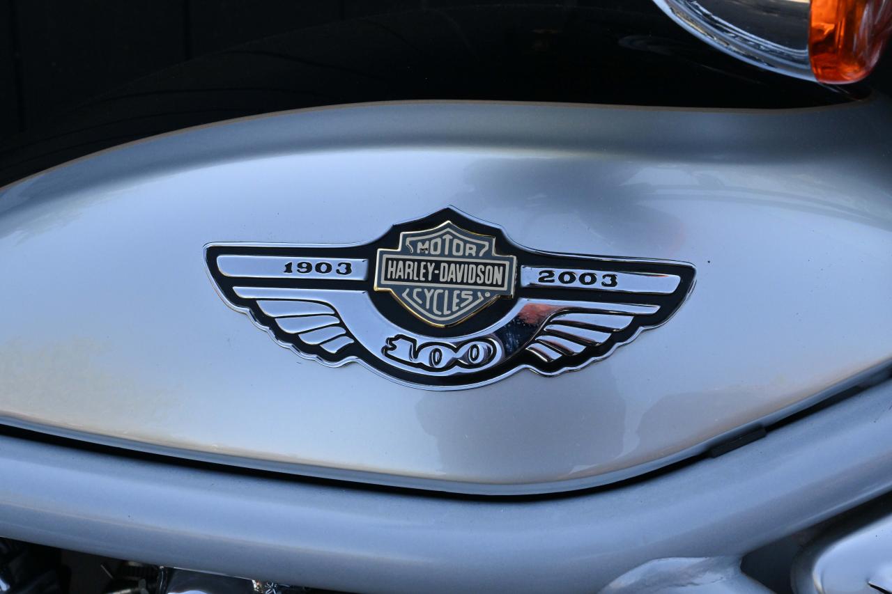 2003 Harley Davidson VRSCA V-Rod