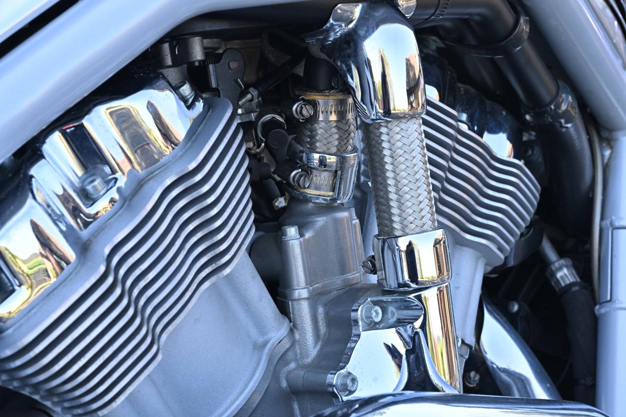 2003 Harley Davidson VRSCA V-Rod