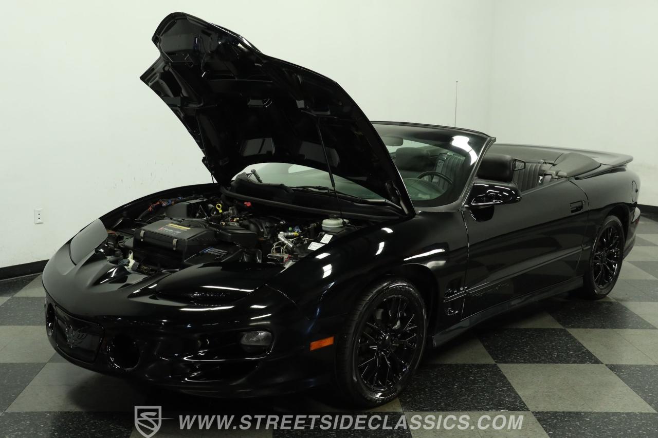 2002 Pontiac Firebird Trans AM WS6 Convertible