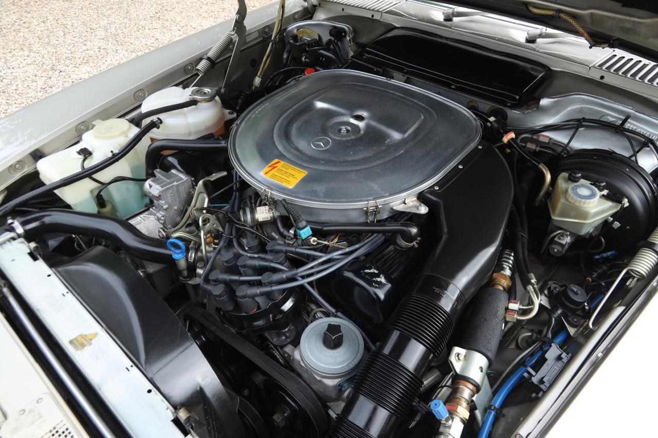 1988 Mercedes - Benz 560 SL &ldquo;Rauchsilber with Palomino interior&rdquo;