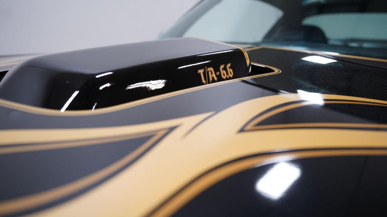 1977 Pontiac Firebird Trans Am