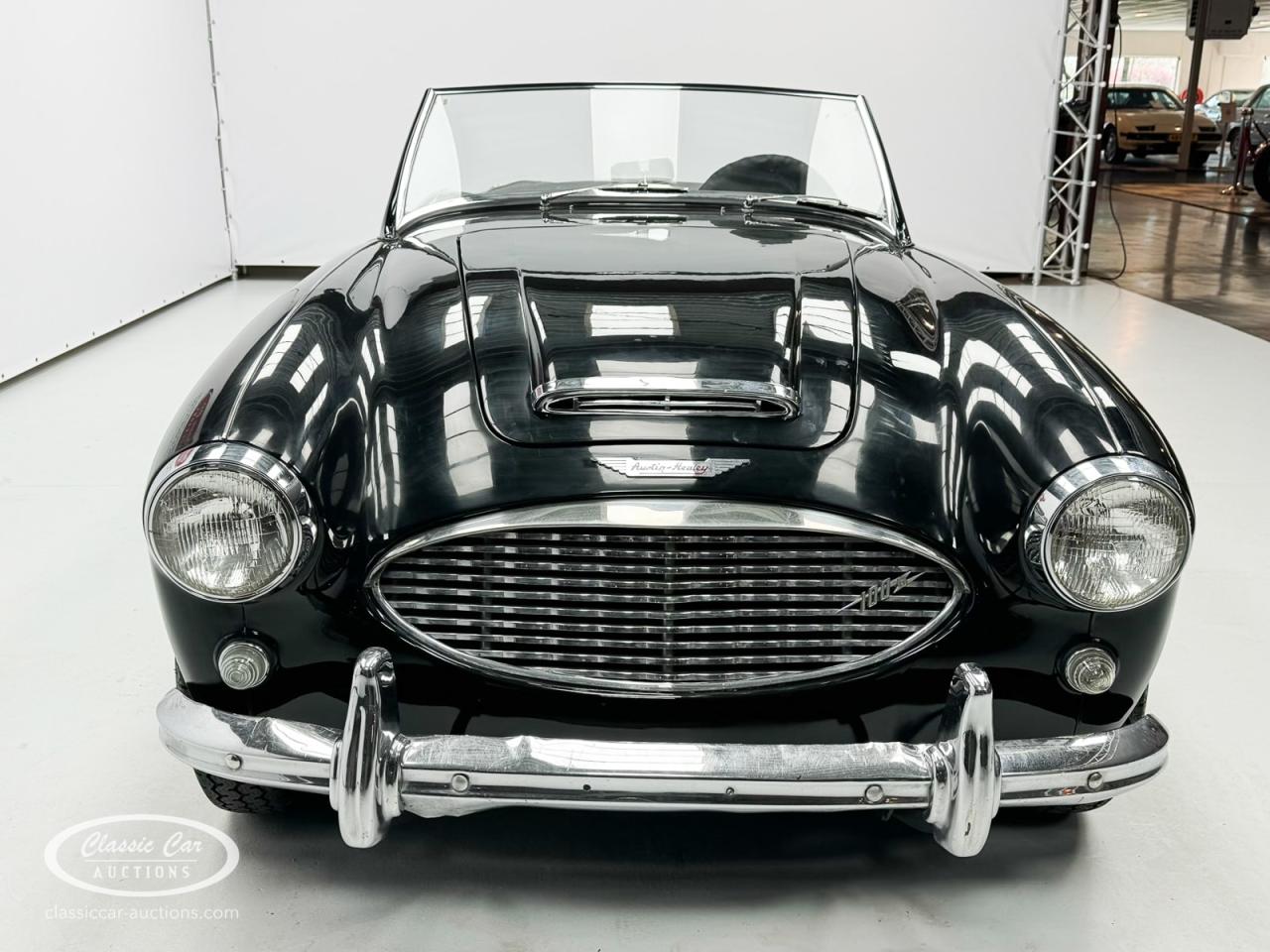 1959 Austin - Healey 100-6