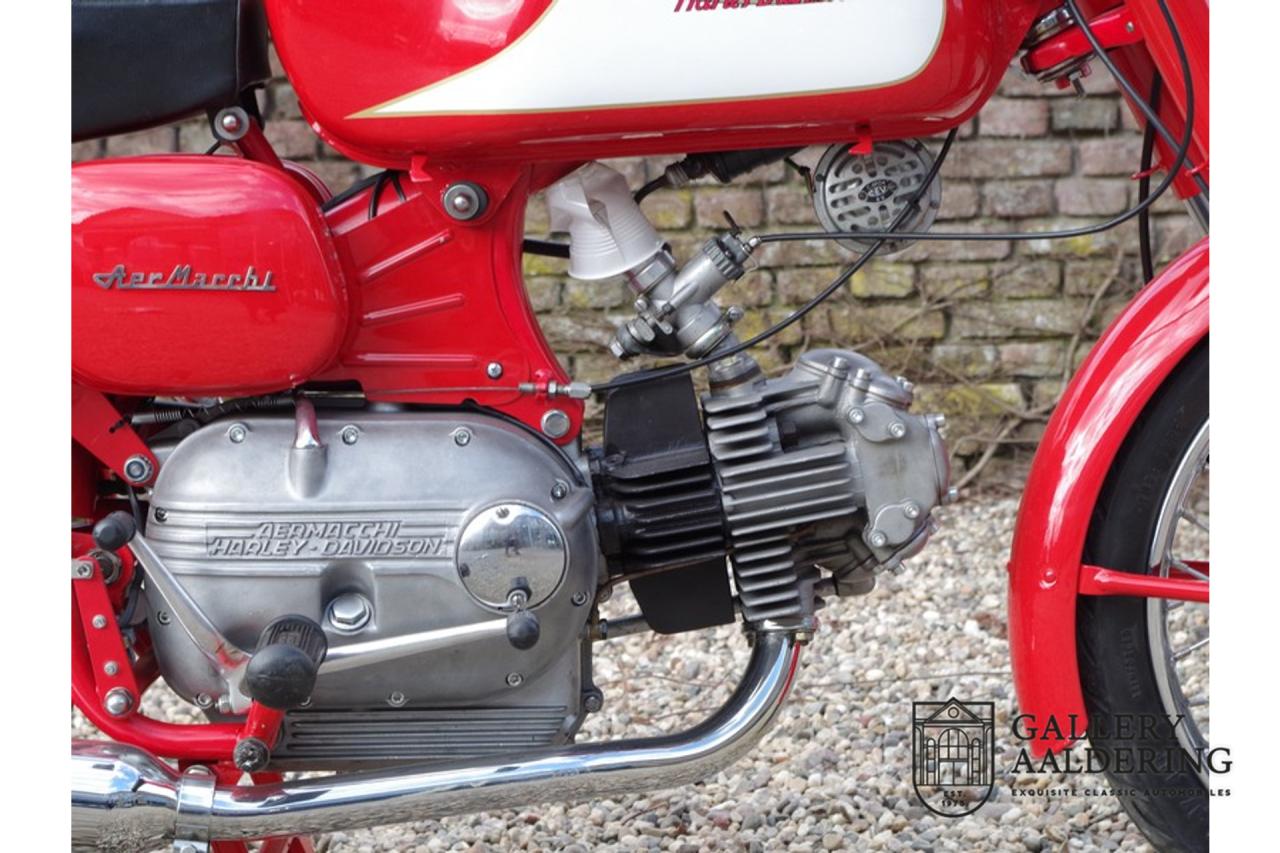 1962 Aermacchi - Harley Davidson Ala Verde 250