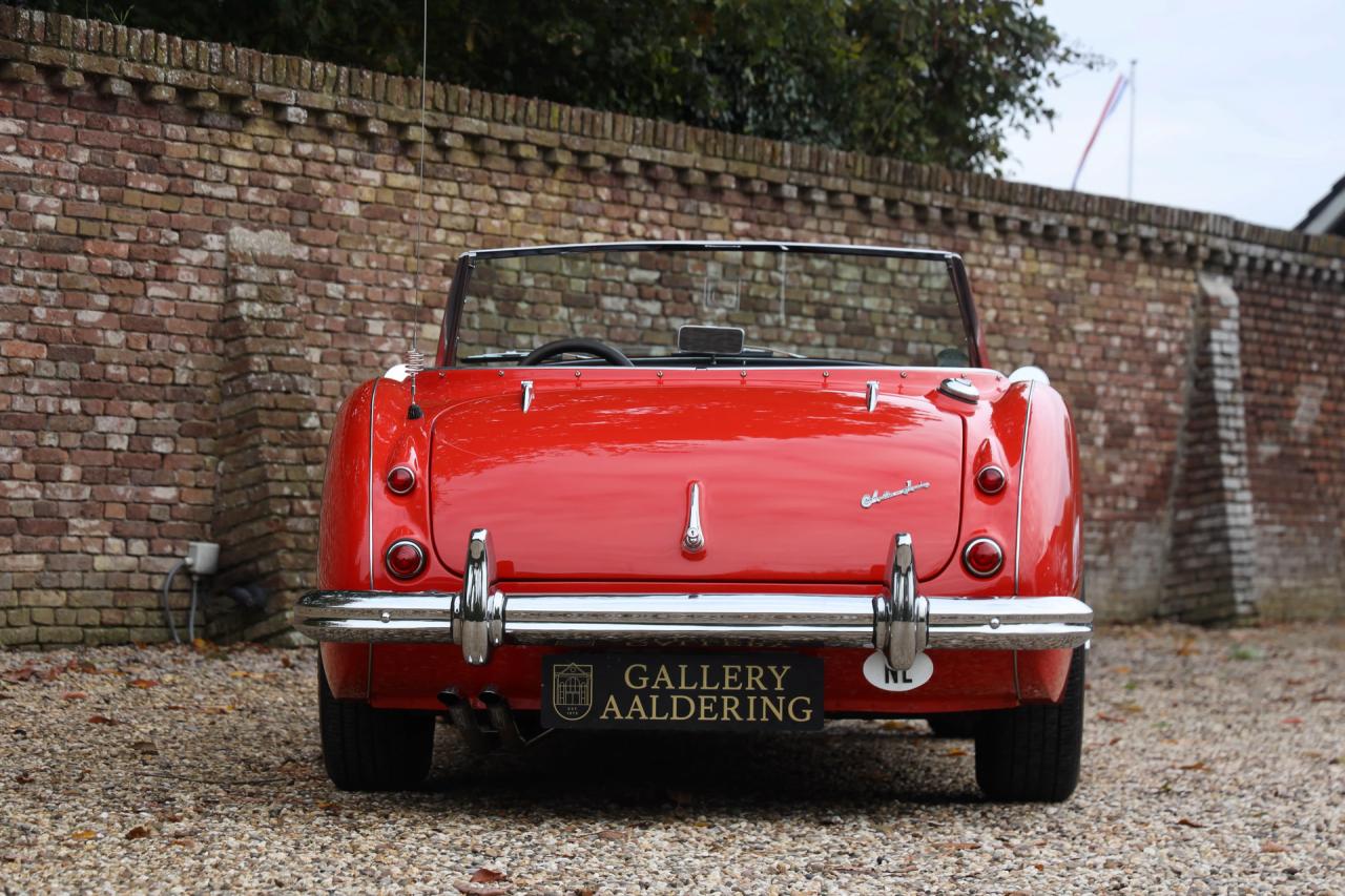 1959 Austin - Healey 100/6 &ldquo;A fast tour-special&rdquo;