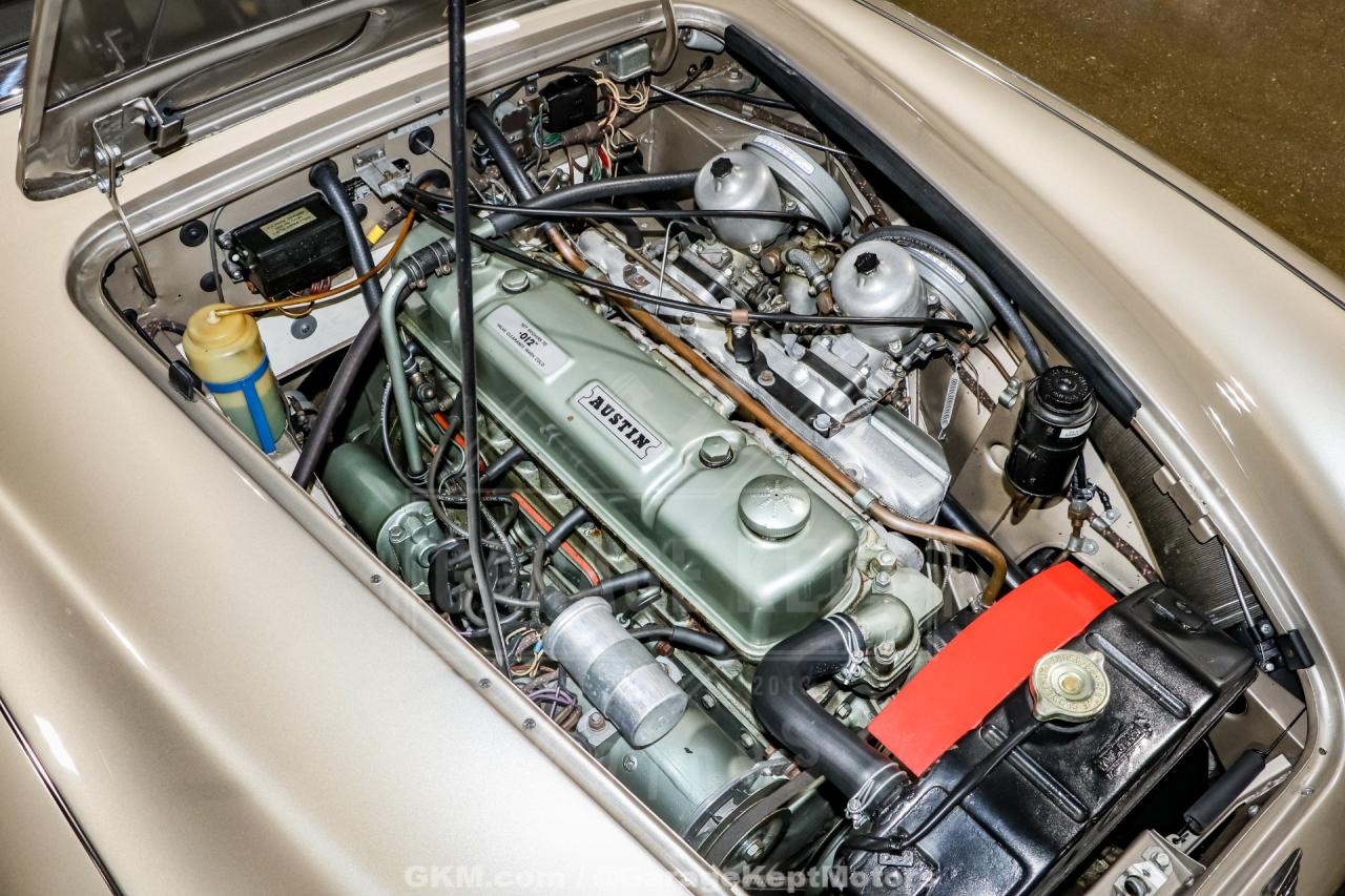 1967 Austin - Healey 3000