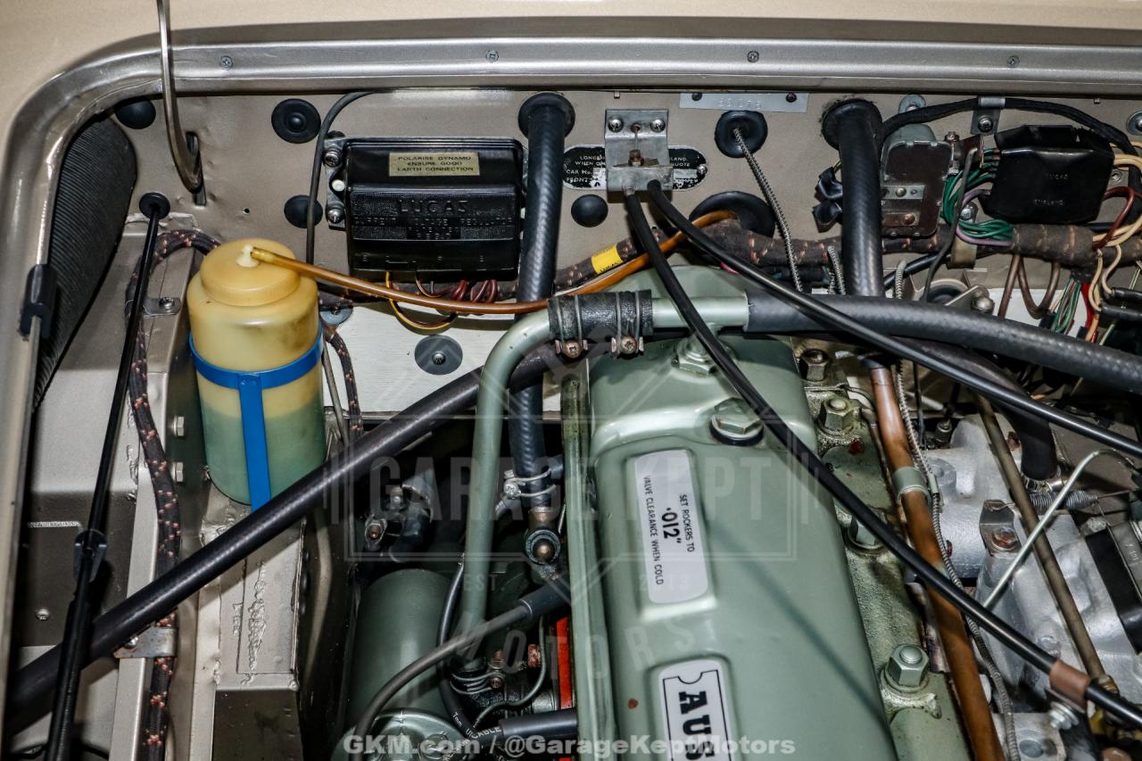 1967 Austin - Healey 3000