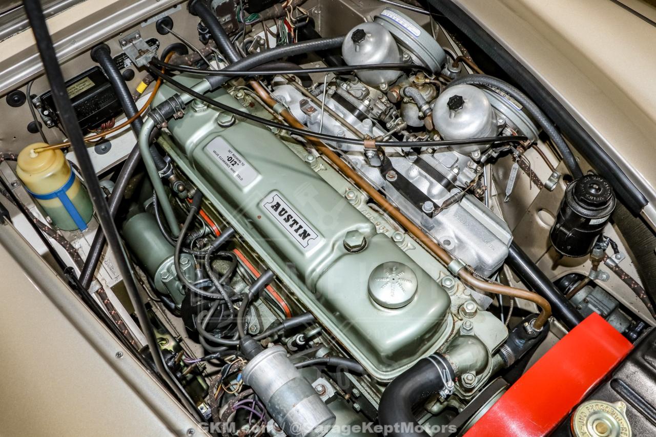 1967 Austin - Healey 3000