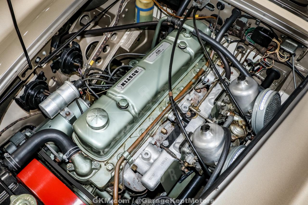 1967 Austin - Healey 3000