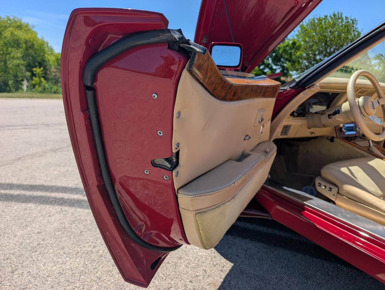 1981 Chevrolet Corvette Buehrig Coupe