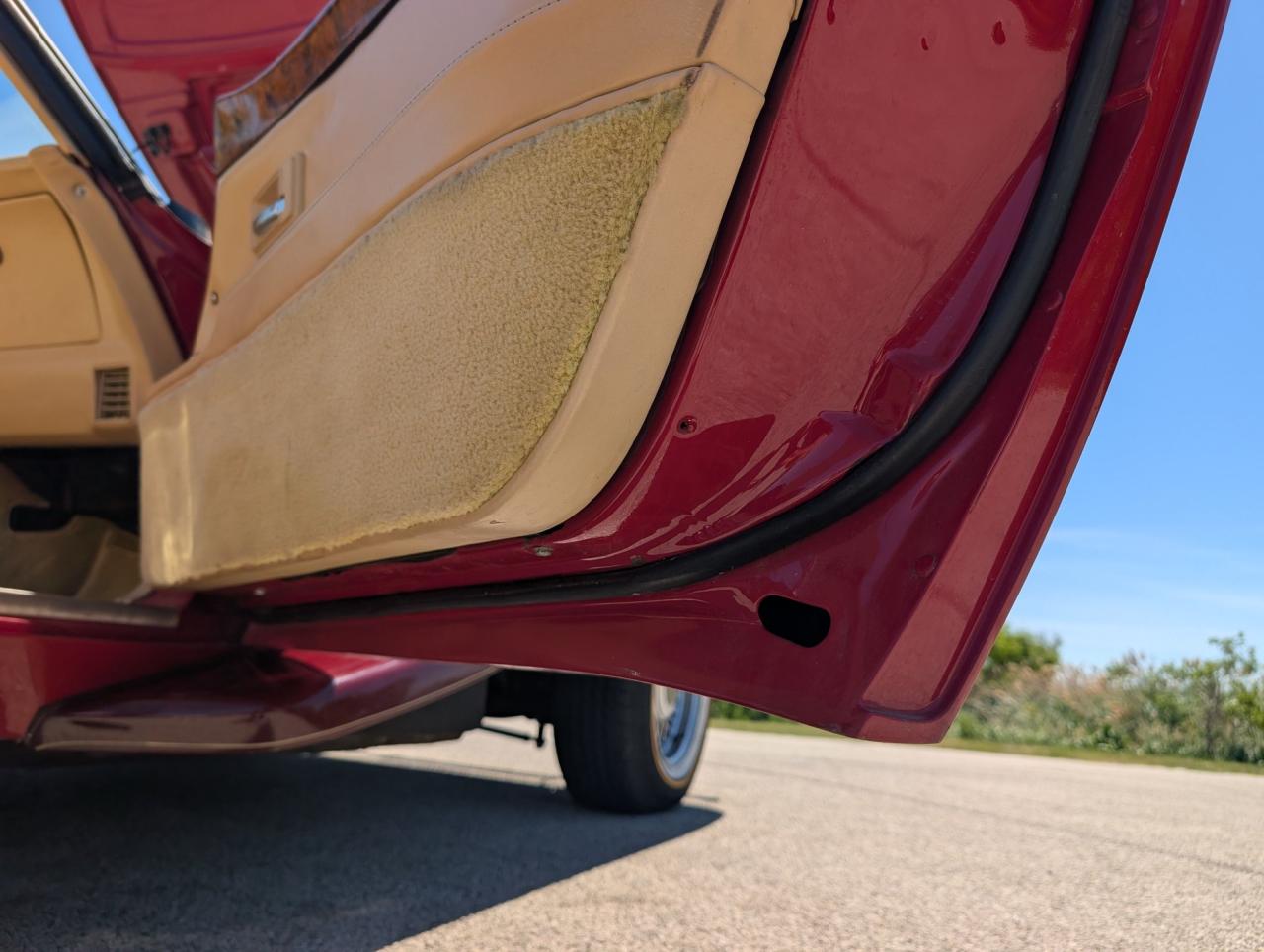 1981 Chevrolet Corvette Buehrig Coupe