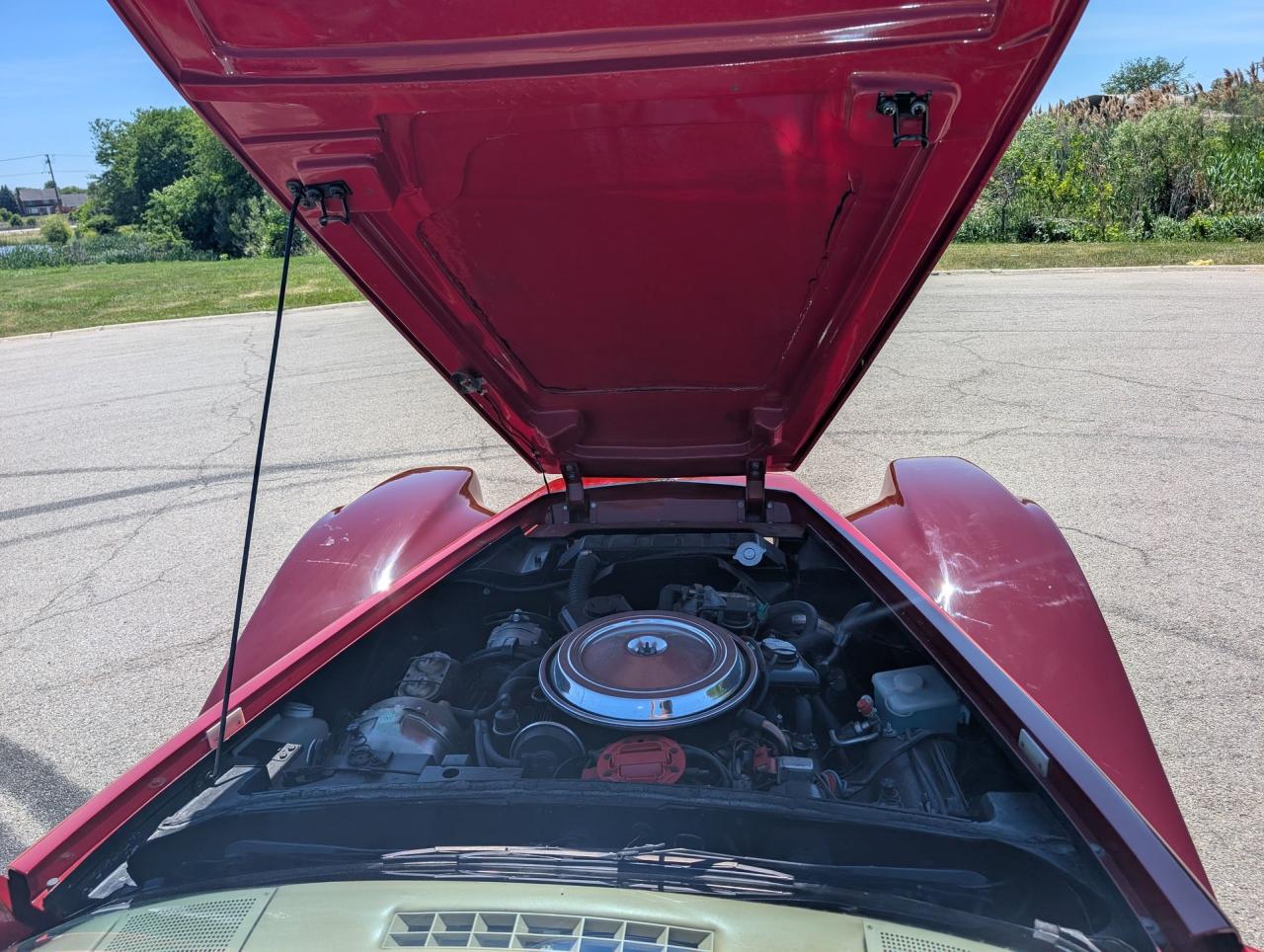 1981 Chevrolet Corvette Buehrig Coupe