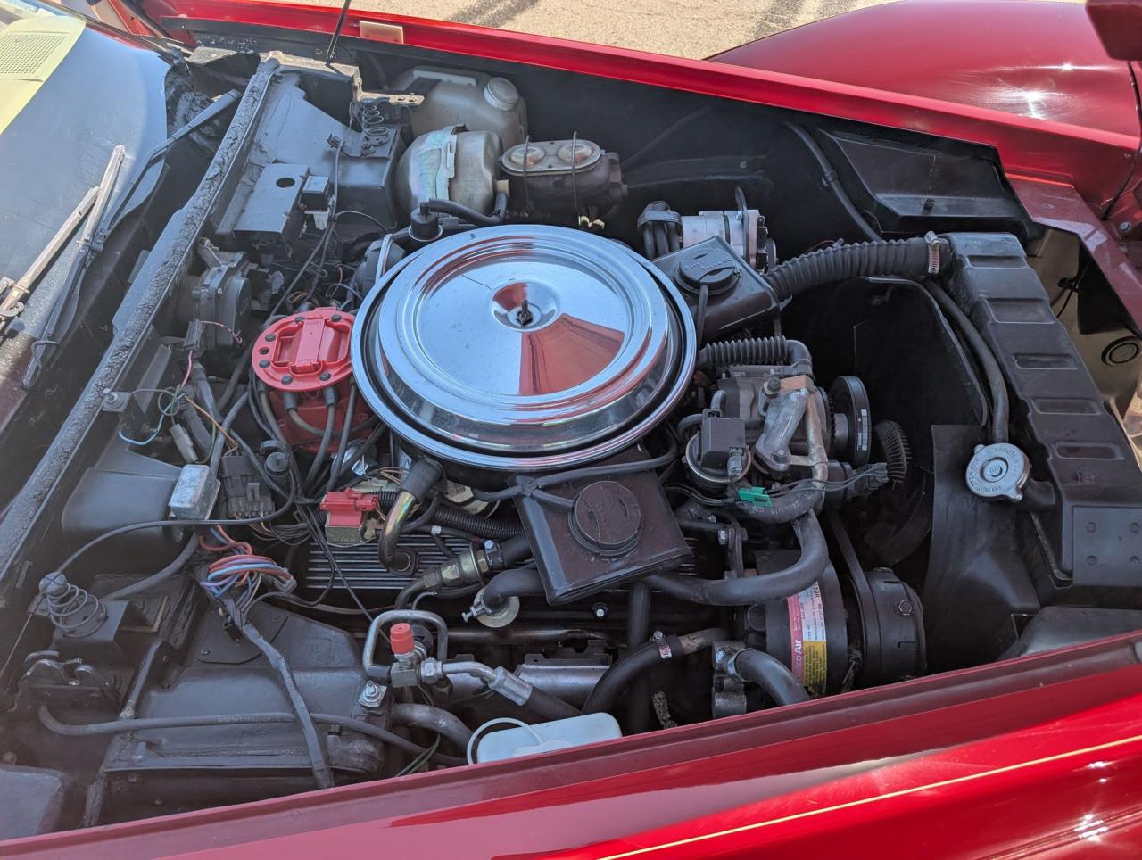 1981 Chevrolet Corvette Buehrig Coupe