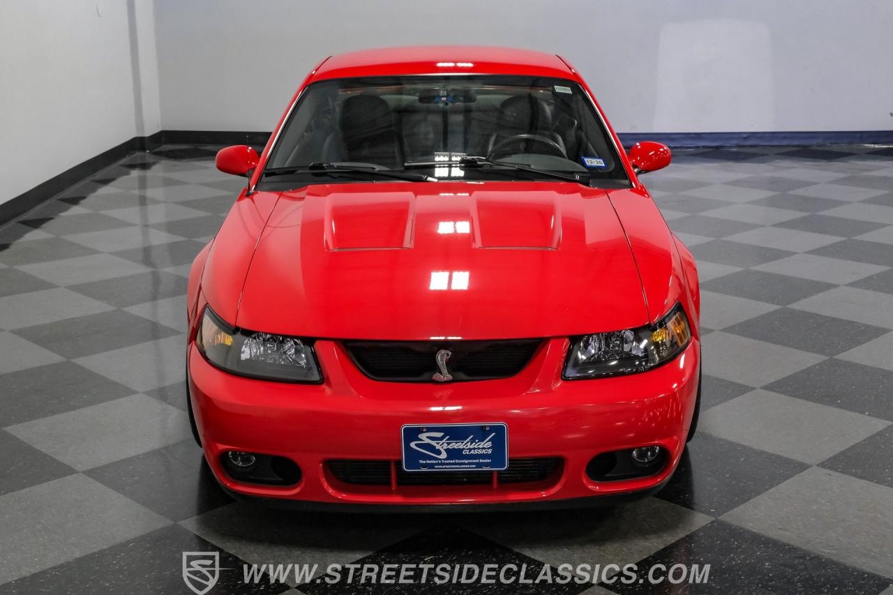 2004 Ford Mustang SVT Cobra Terminator