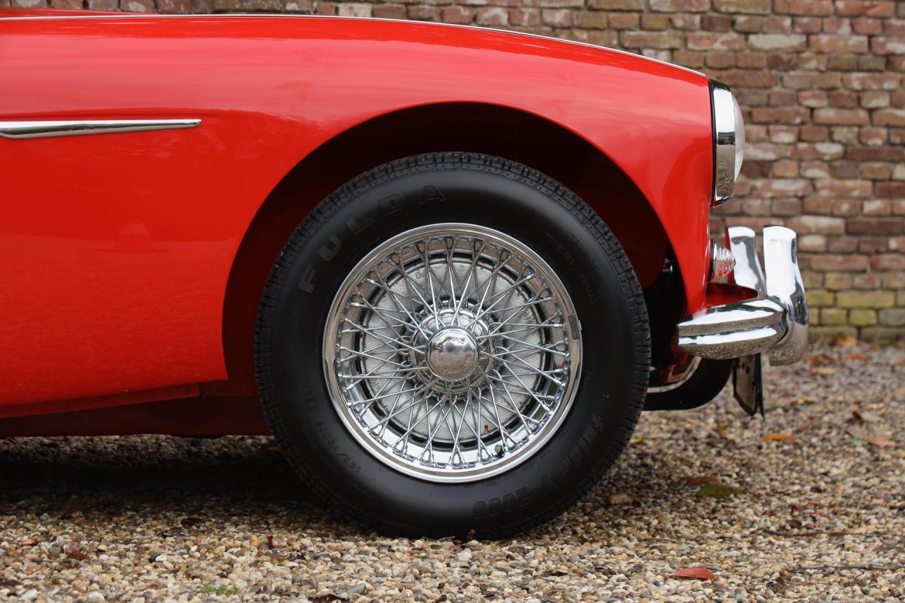 1959 Austin - Healey 100/6 &ldquo;A fast tour-special&rdquo;
