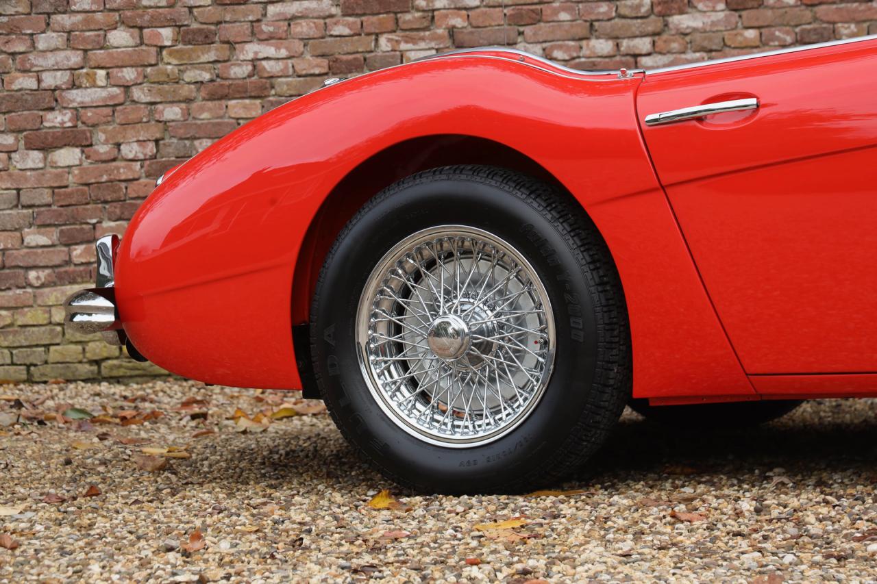 1959 Austin - Healey 100/6 &ldquo;A fast tour-special&rdquo;