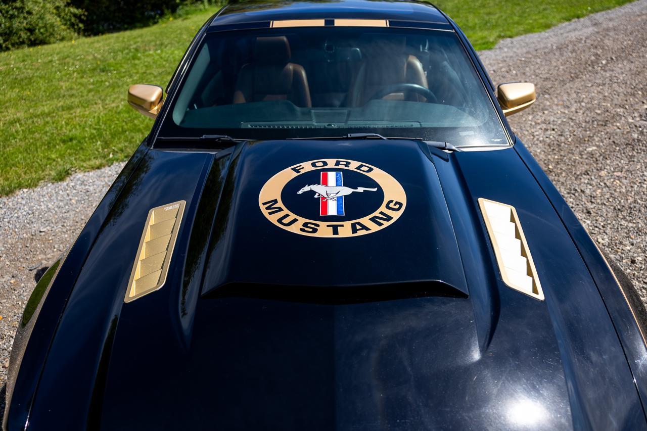 2009 Ford Mustang V6