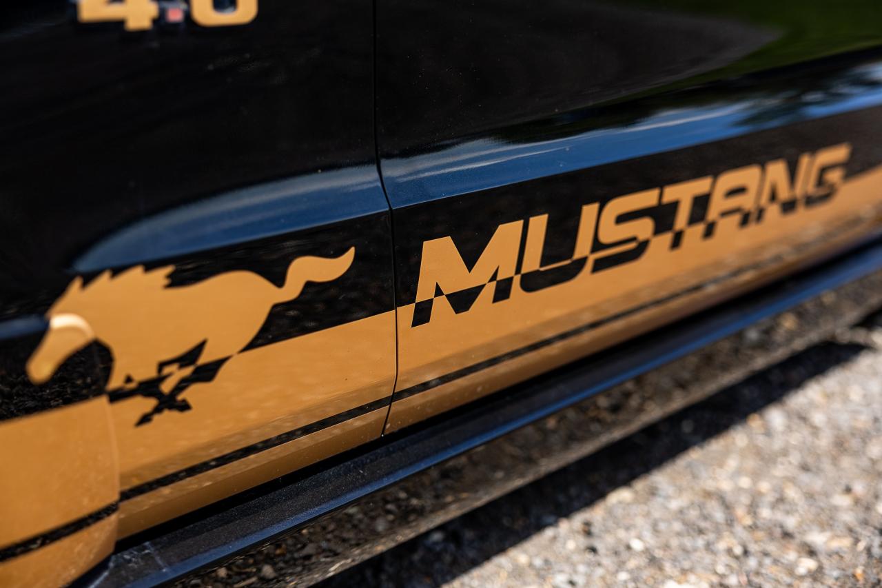 2009 Ford Mustang V6