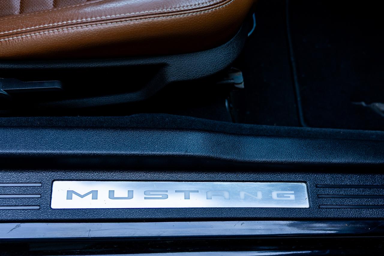 2009 Ford Mustang V6