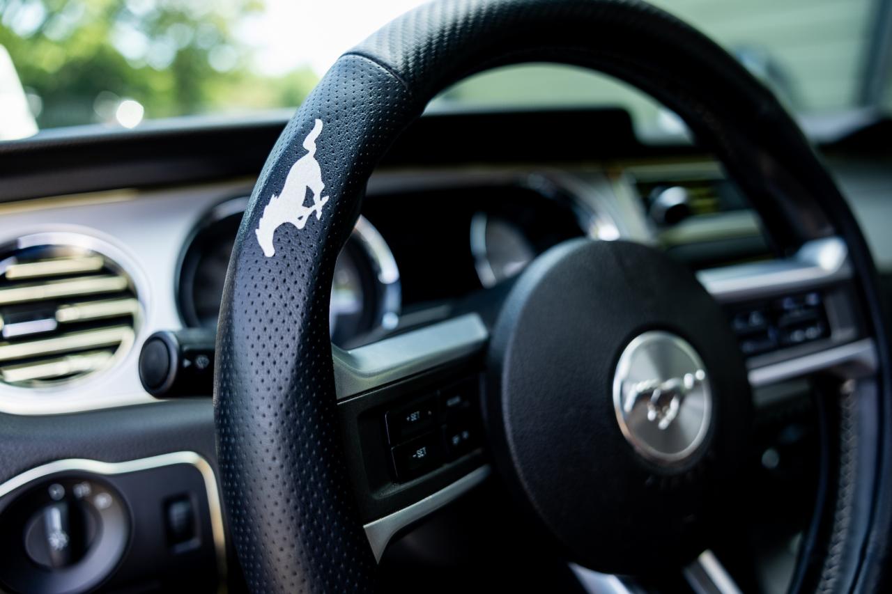 2009 Ford Mustang V6