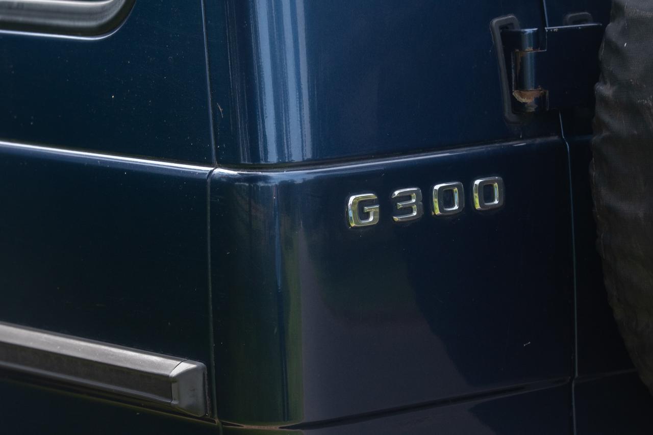 1995 Mercedes - Benz 300 GEL