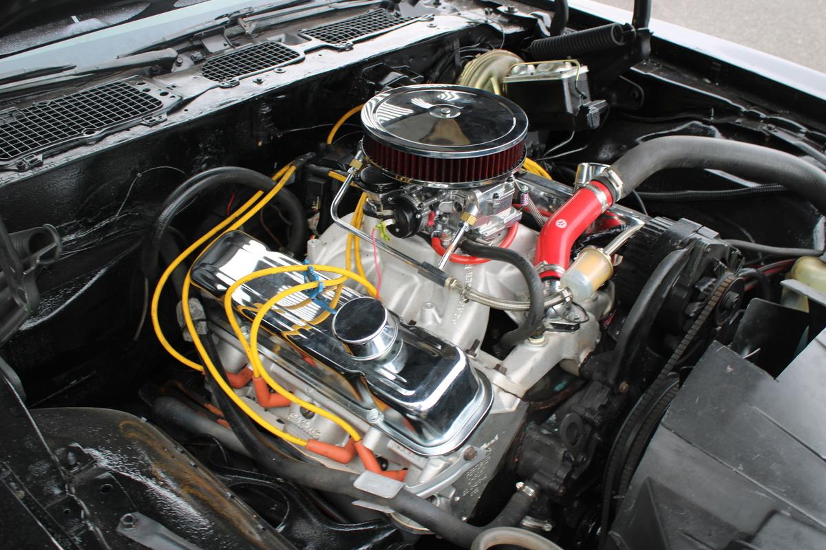 1979 Pontiac FIREBIRD 400 C1 V8