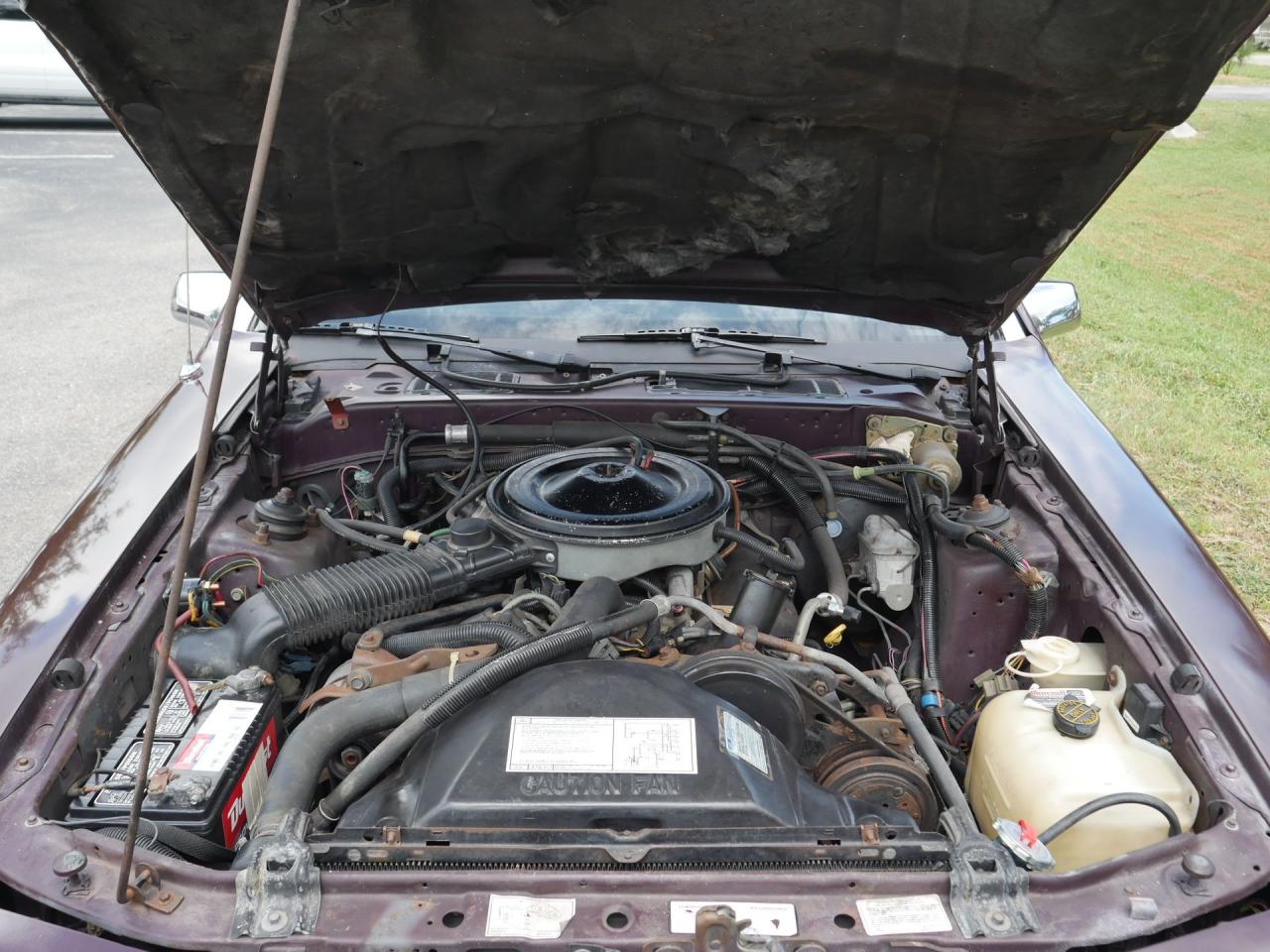 1986 Mercury Cougar