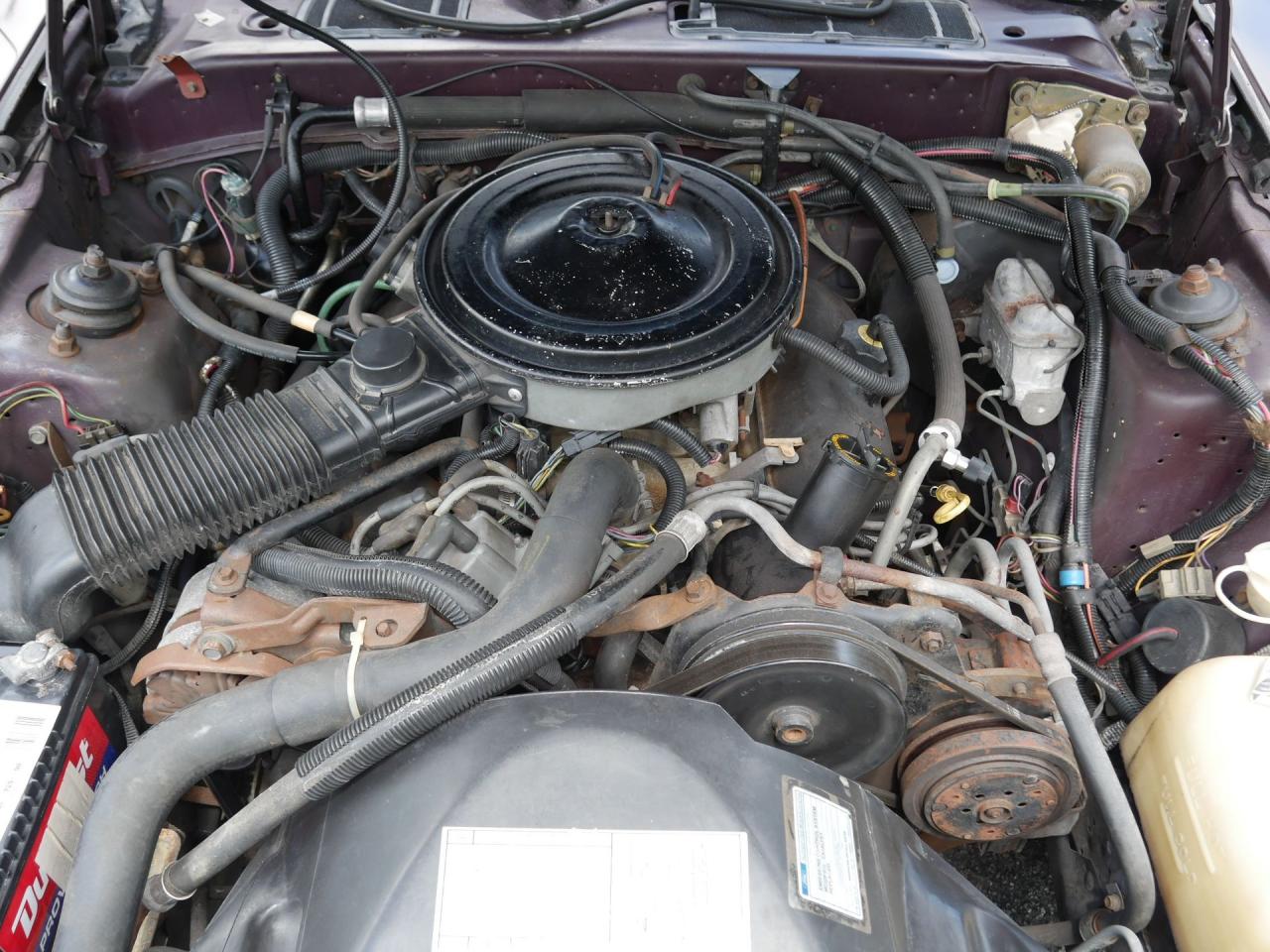 1986 Mercury Cougar