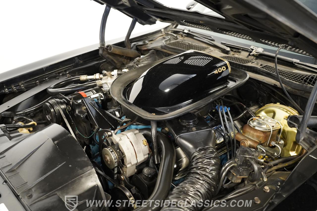 1976 Pontiac Firebird Trans am 50th anniversary special edition