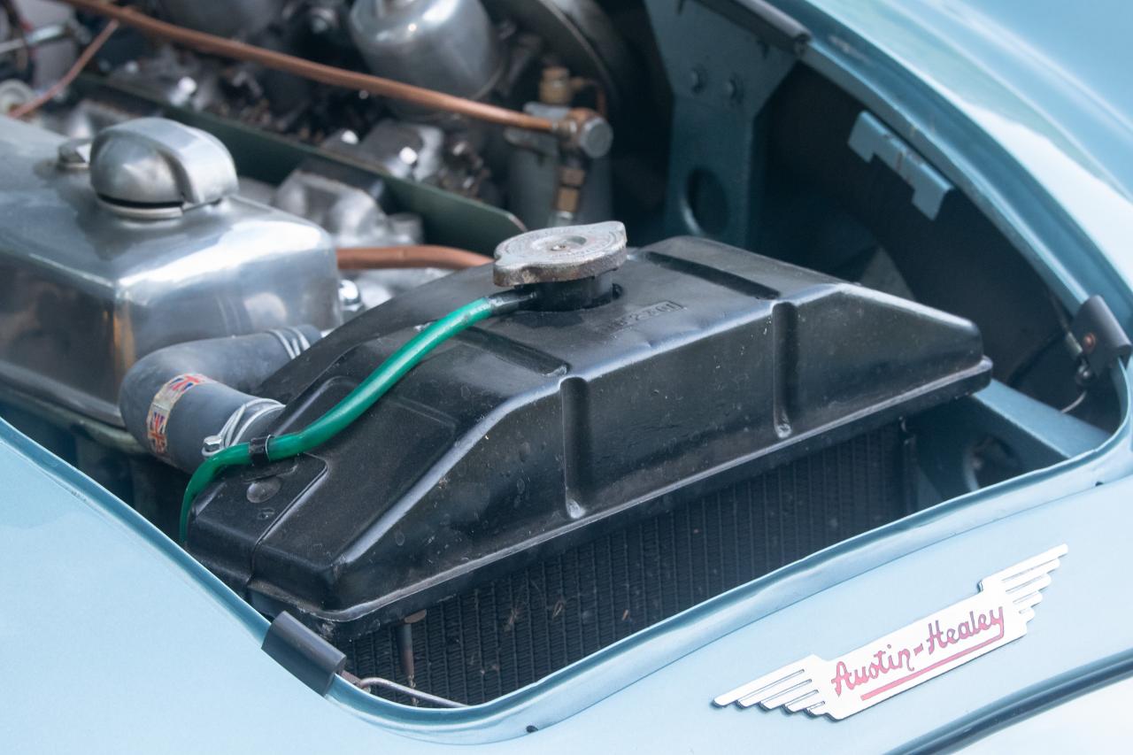 1956 Austin - Healey 100/6