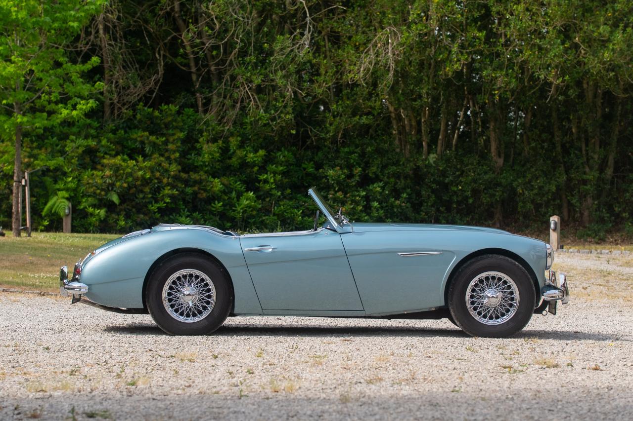 1956 Austin - Healey 100/6