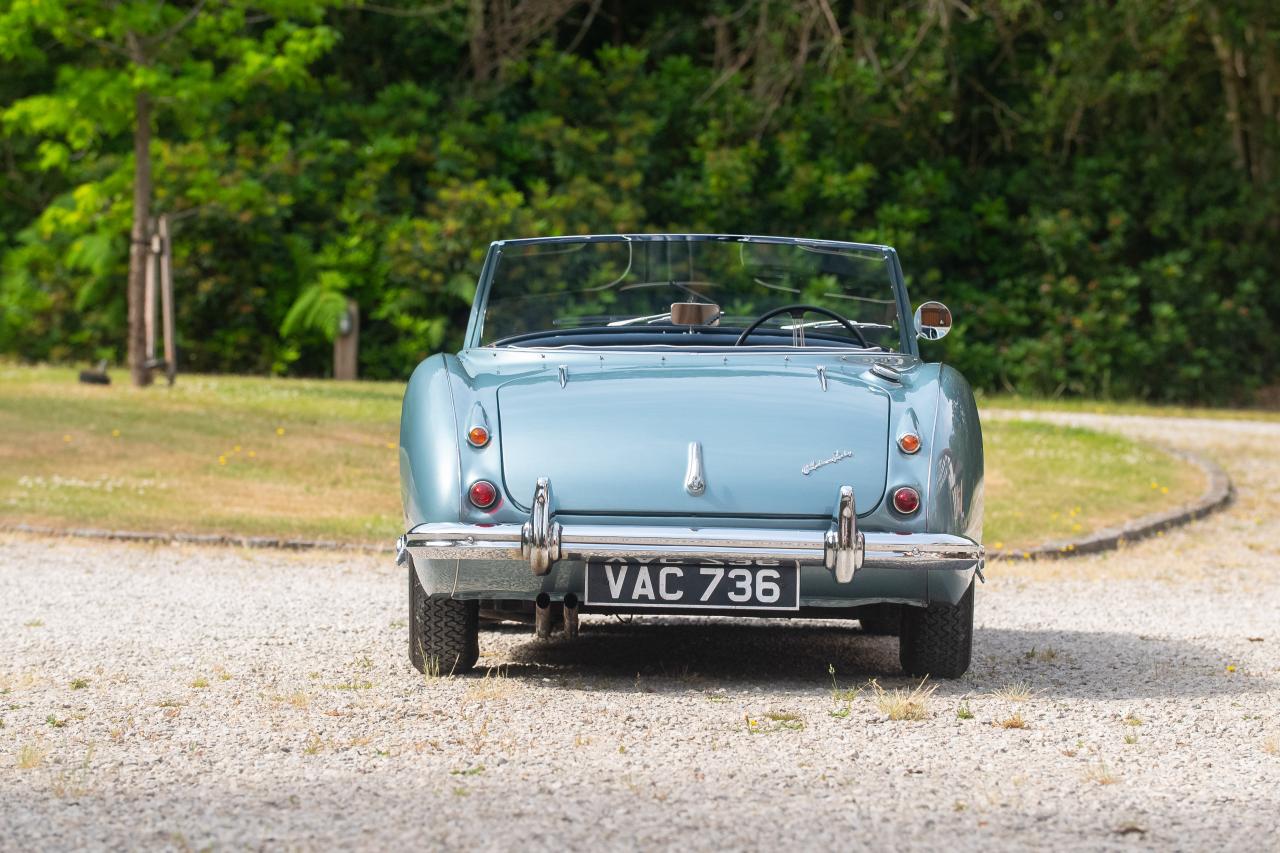 1956 Austin - Healey 100/6