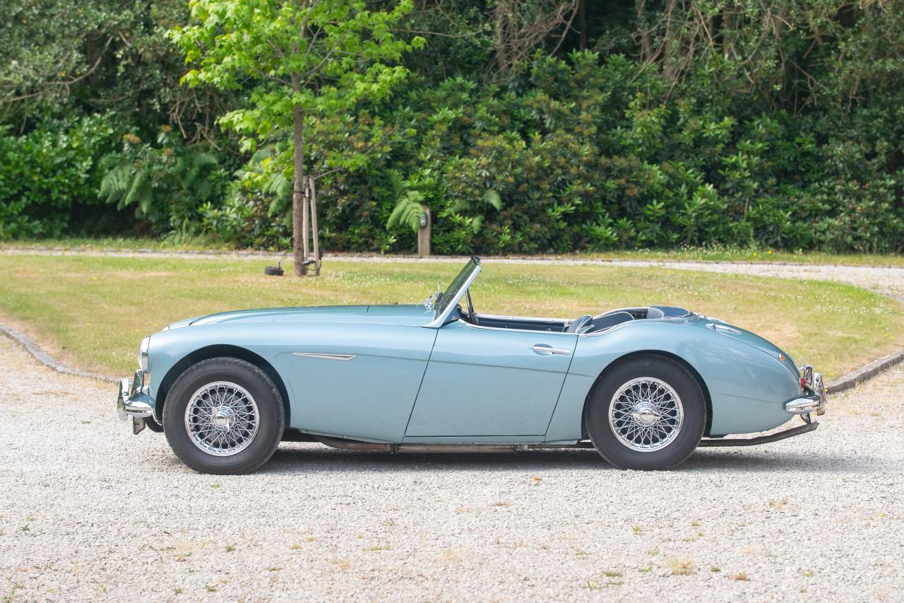 1956 Austin - Healey 100/6