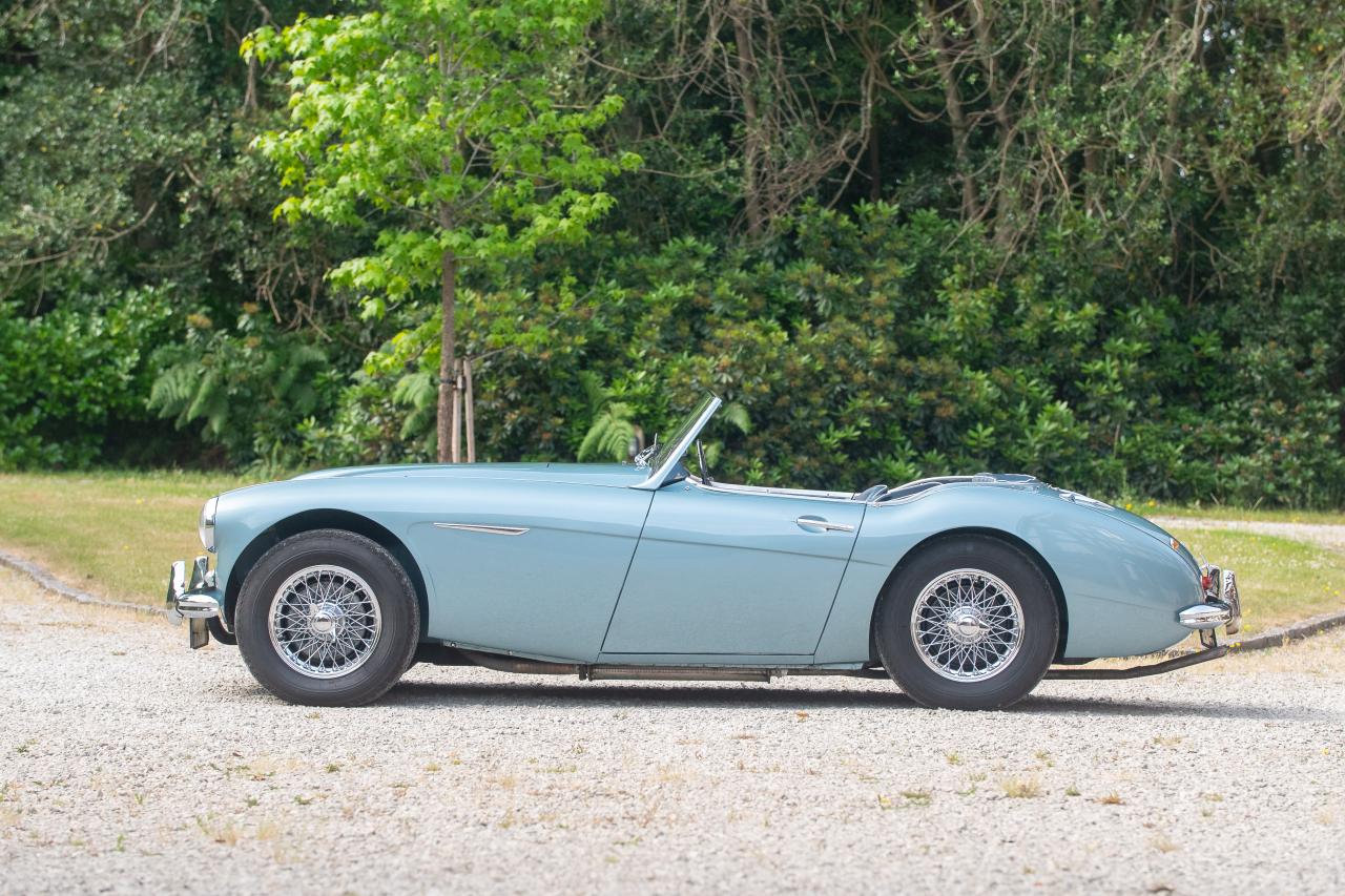 1956 Austin - Healey 100/6