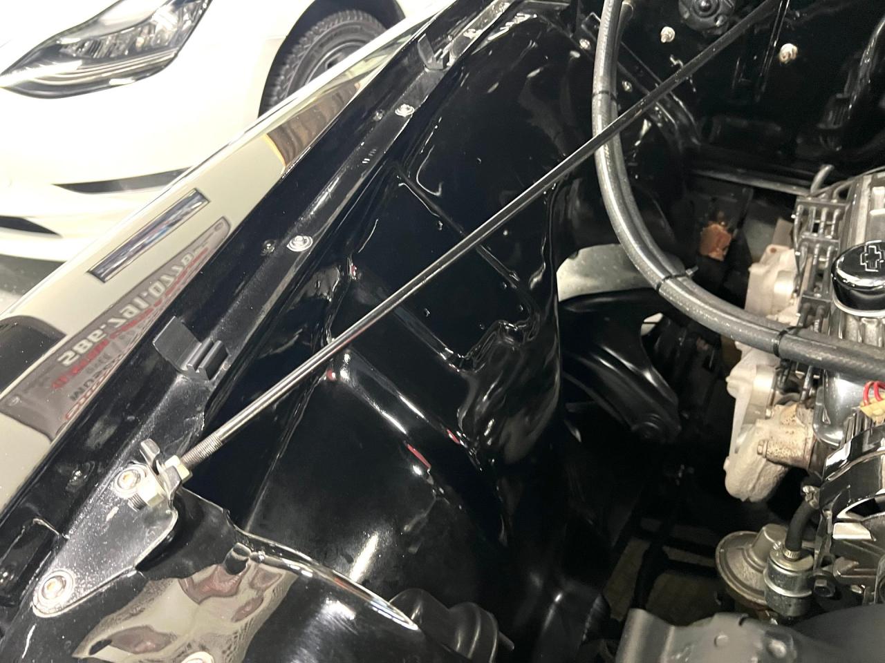 1955 Ford F100
