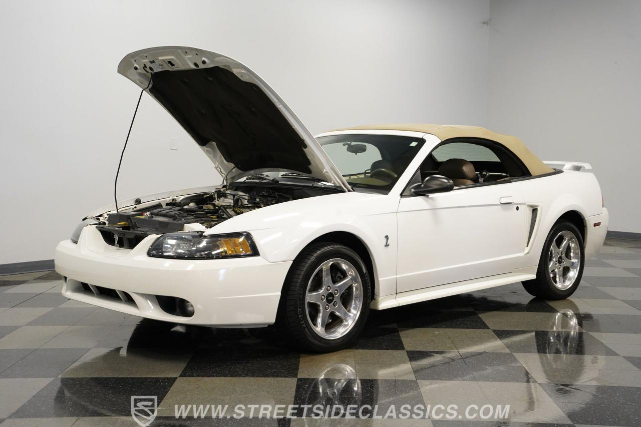 2001 Ford Mustang SVT Cobra Convertible