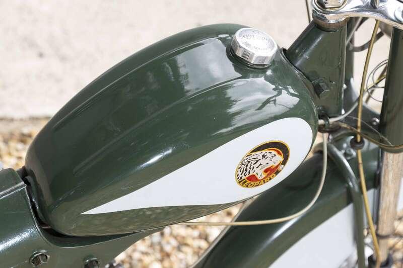 1957 LEOPARD BOBBY