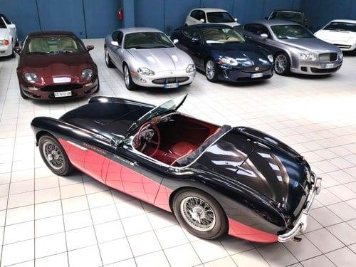 1956 Austin - Healey 100/4