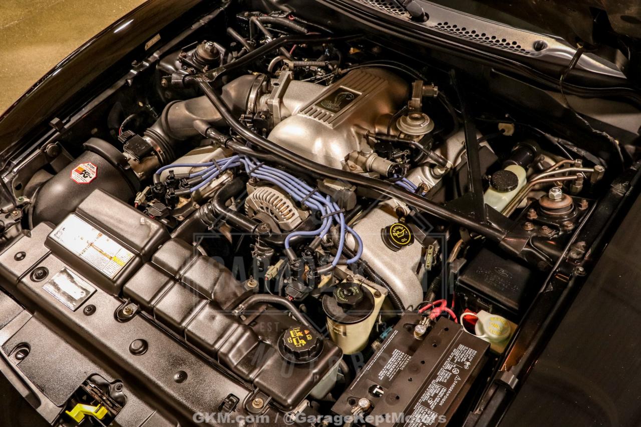 1996 Ford Mustang SVT Cobra