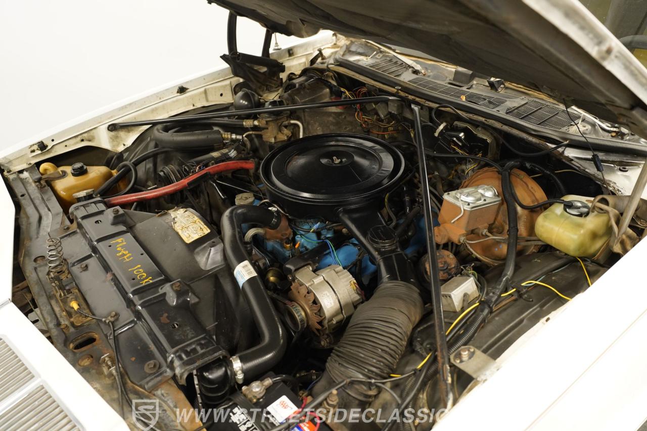1976 Oldsmobile Cutlass Salon