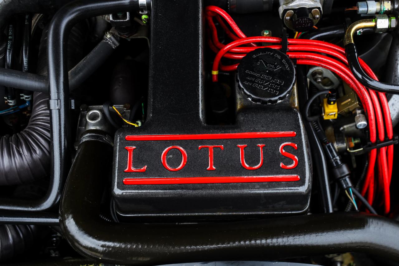 1992 Lotus Omega &ldquo;From the first owner&rdquo;