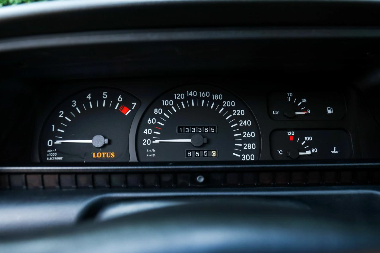 1992 Lotus Omega &ldquo;From the first owner&rdquo;