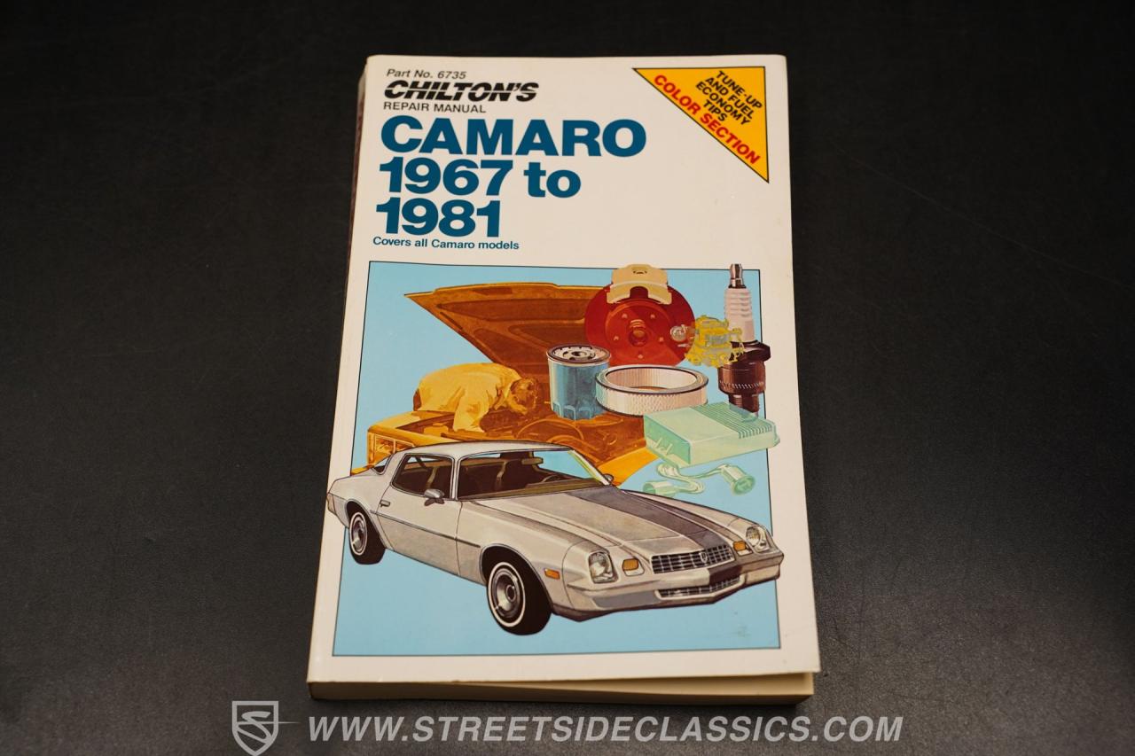 1979 Chevrolet Camaro RS