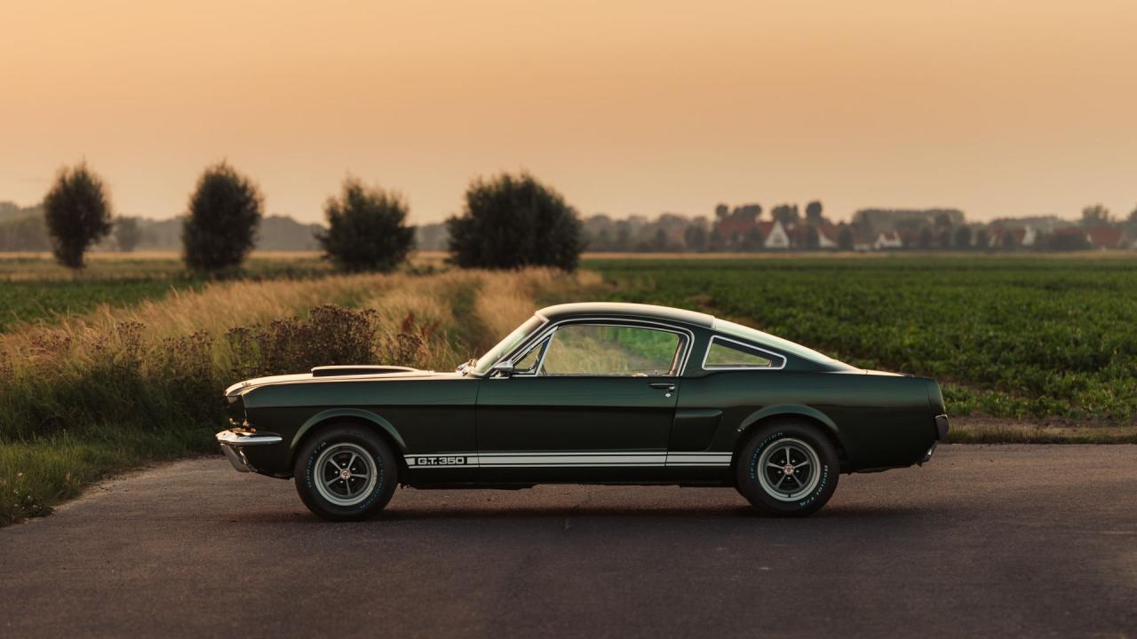1966 Shelby GT350 Fastback