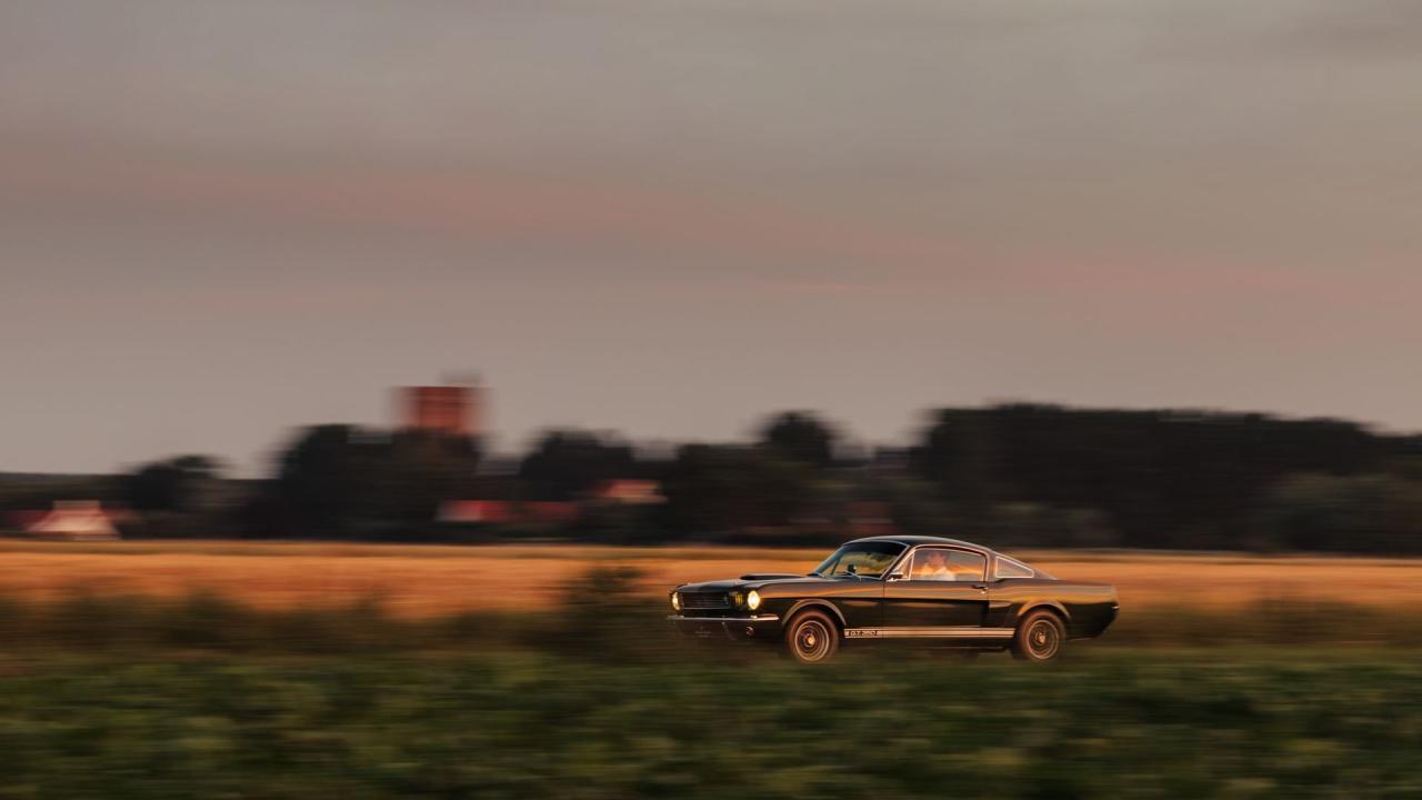 1966 Shelby GT350 Fastback