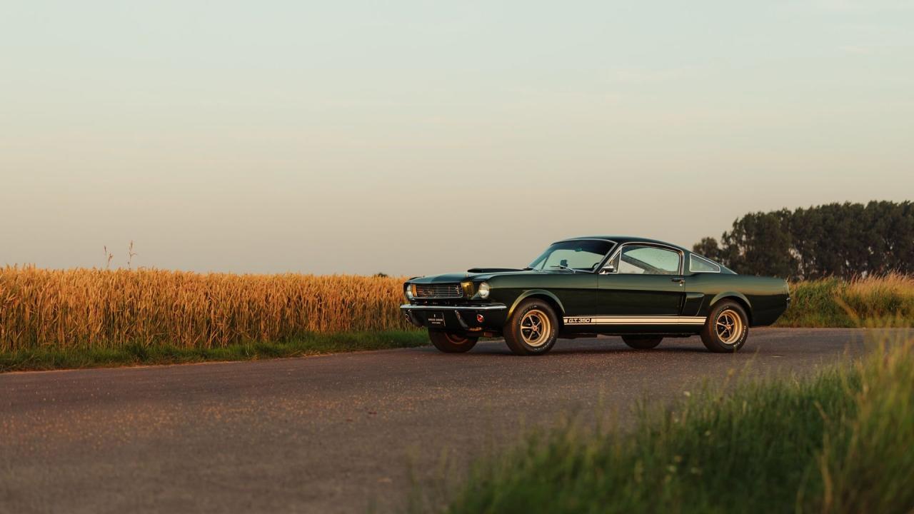 1966 Shelby GT350 Fastback