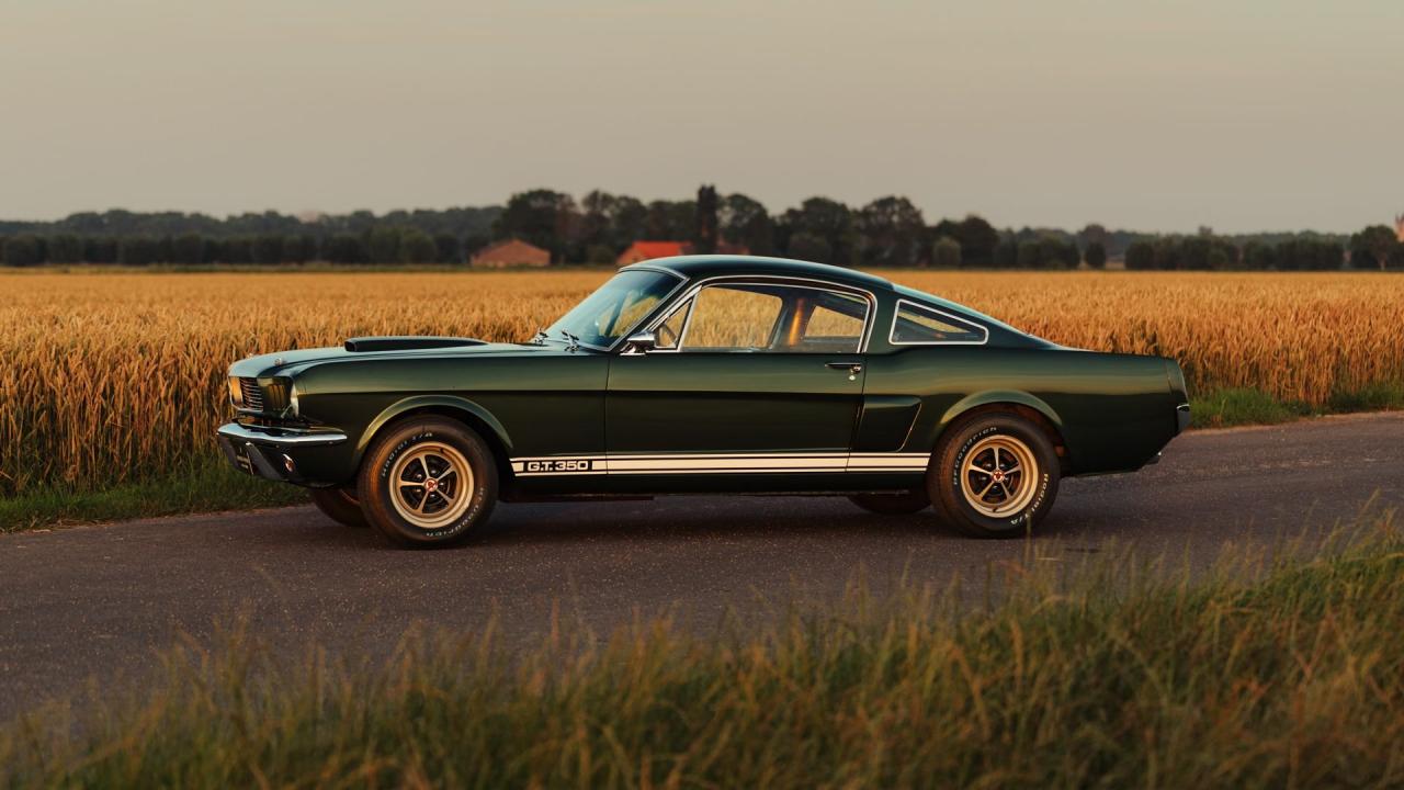 1966 Shelby GT350 Fastback