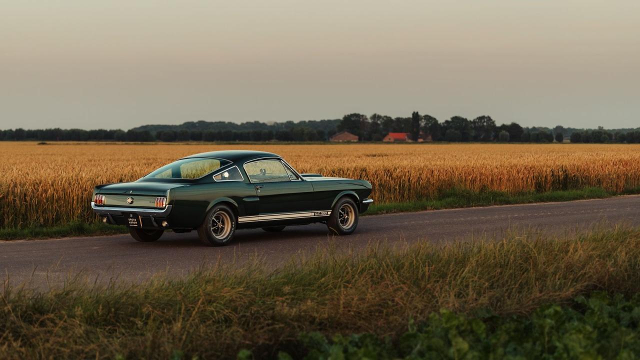 1966 Shelby GT350 Fastback