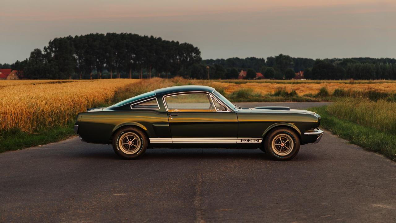 1966 Shelby GT350 Fastback