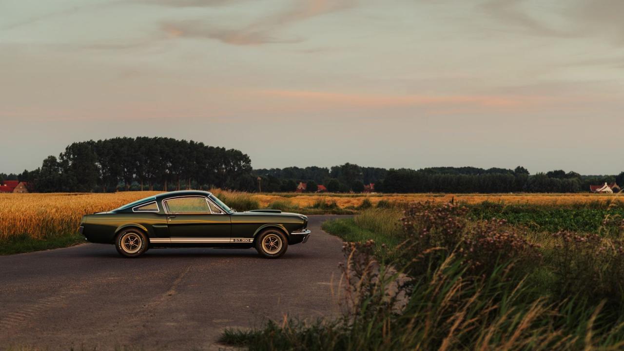 1966 Shelby GT350 Fastback