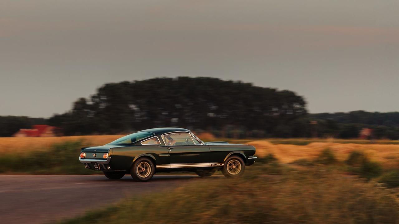 1966 Shelby GT350 Fastback